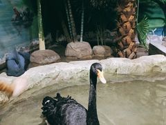 -海合安武汉极地海洋公园