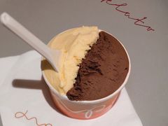 100%黑巧-Dip in Gelato(富民路店)