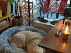 -咖法森林·咖啡  酒吧(天河店)