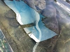 -鸿通城购物中心