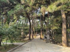 -红螺寺