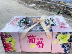 -美家乐农庄·露营·团建(大治路店)