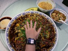 来凤鱼-新概念来凤鱼(璧山店)
