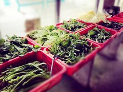-重庆特色冷锅鱼(武大店)