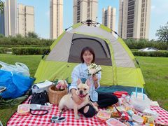 -蒲河岛湿地公园
