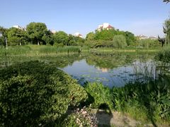 -花溪公园