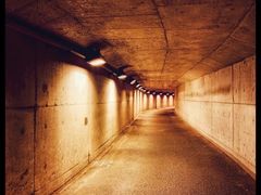 -西湖风景区-江洋畈生态公园