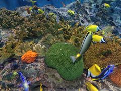 -上海海洋水族馆