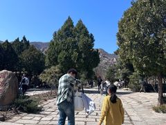 -北京凤凰岭