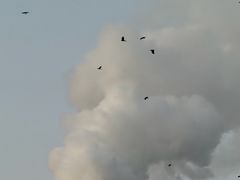 -沈阳站