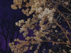 -极客修手机维修·电脑维修·家电维修清洗(城中路店)