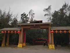 -北海金海湾红树林生态旅游区