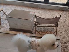 -J Create城市露营咖啡·简餐·宠物(上海动物园店)