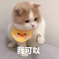 -烫·染专业店