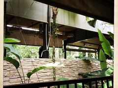 -植物园哈利亚餐厅