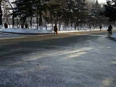 -东北农业大学饺子园