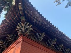 -洛阳白马寺