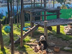 -西霞口神雕山野生动物世界
