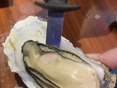 -千岛蚝高压锅生蚝·人参火锅(白云万达店)