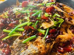 -老板恋上鱼(恒隆广场店)