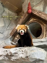 -Zoolung Zoolung动物主题公园(海信广场店)