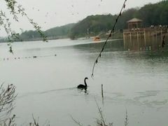 -艾溪湖湿地公园