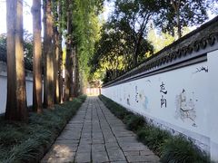 -上海方塔园