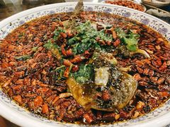 杨记招牌鱼-杨记隆府(南坪店)