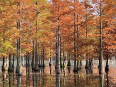 -白鹭湾湿地公园