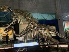 -湖南省地质博物馆