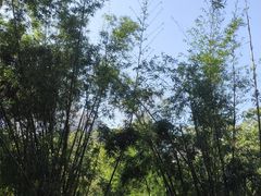 -荔枝公园(福田区)