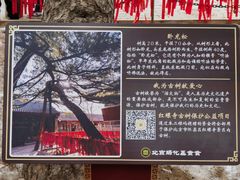 -红螺寺