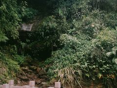 -芦沟竹海