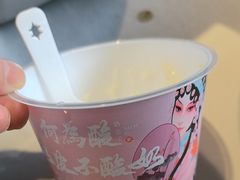 -大鸭梨烤鸭(望京店)