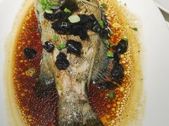 清蒸游水龙趸鱼MT-东海海鲜酒家(流花店)