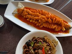 珊瑚鱼-刘胖子家常菜·蹄花焖藕(中南店)
