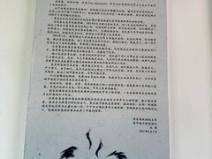 -盐城丹顶鹤湿地生态旅游区