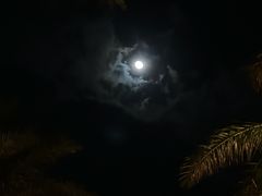 -日落吧·海景咖啡厅·餐酒吧·鸡尾酒·下午茶·乐队表演·浪漫夕阳·三亚文华东方酒店