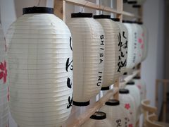 -柴迷FANS CLUB·柴犬狗咖·猫咖
