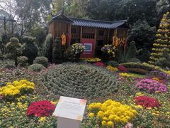 -南山植物园