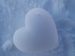-绿野森林乐园冰雪季