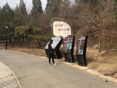 -白水寺森林公园