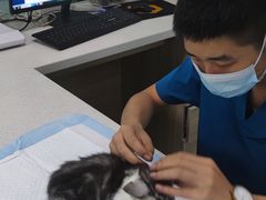 -嘉馨宠物医院·CT影像转诊·心脏科·犬猫全科诊疗中心(下沙大学城院区)
