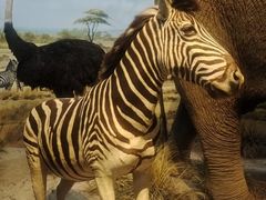 -陕西自然博物馆