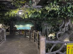 -苏州海洋馆