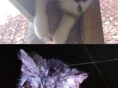 -广州绿地中央广场