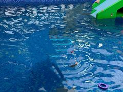 -Swim斯卫姆国际儿童游泳中心(红博中央公园店)