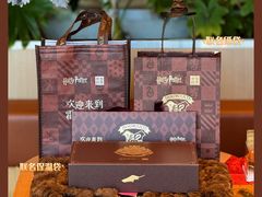 奈雪️哈利波特联名-奈雪的茶(天河城店)