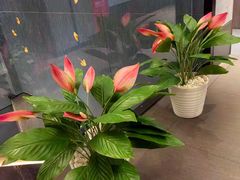 -百富源·海鲜辽菜(和平北大街店)