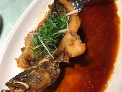 -皇朝尊会(龙之梦大酒店)